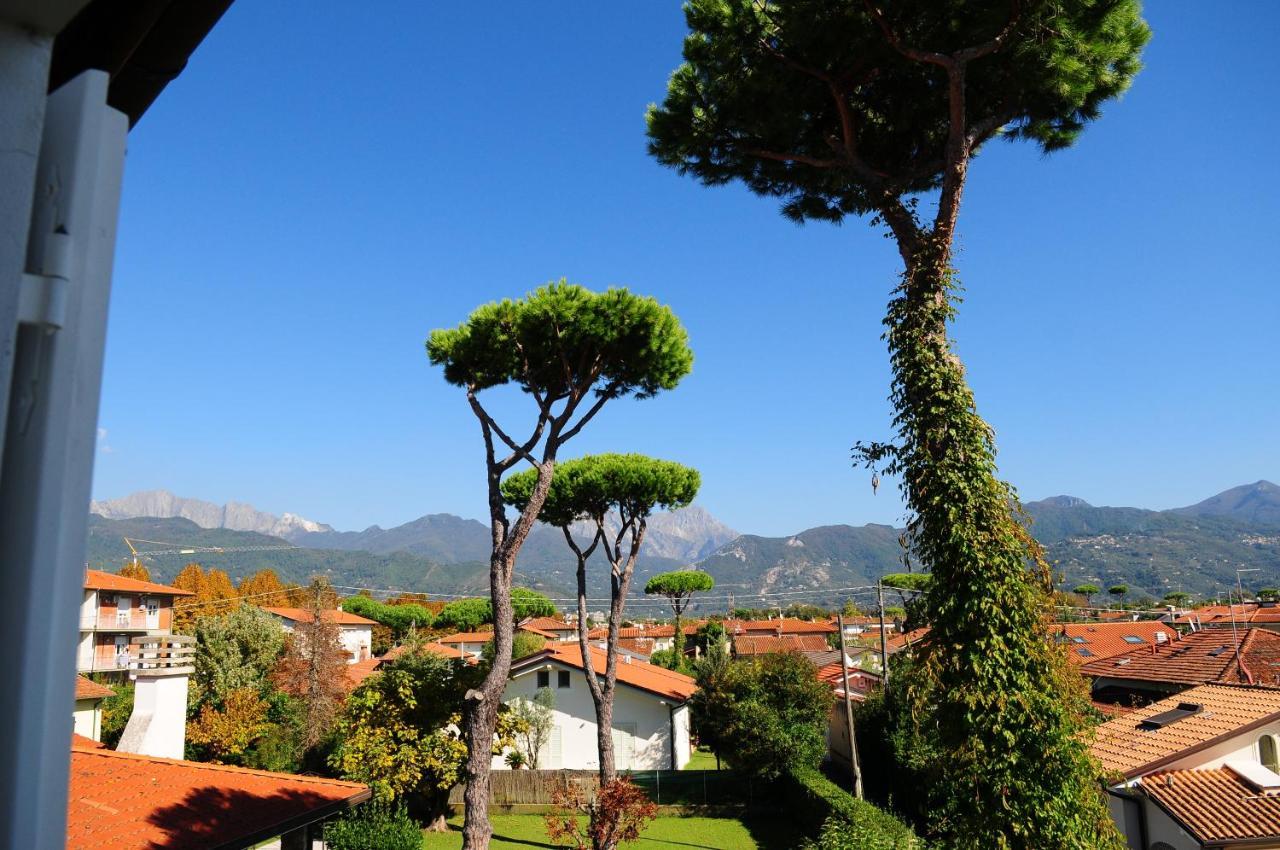 Olive Beach Forte Dei Marmi Extérieur photo